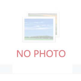 球墨铸铁生产熔炼与处理工艺